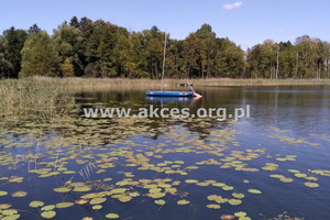 Działka na sprzedaż szczycieński Pasym Grom - zdjęcie 2