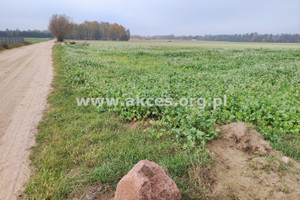 Działka na sprzedaż 3000m2 płoński Joniec Szumlin - zdjęcie 3