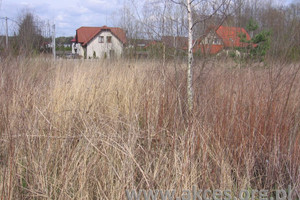 Działka na sprzedaż 2013m2 wołomiński Marki Bez Nazwy - zdjęcie 1