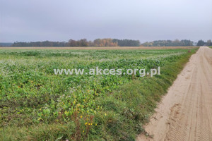 Działka na sprzedaż 3000m2 płoński Joniec Szumlin - zdjęcie 1