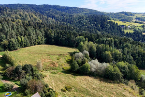 Działka na sprzedaż nowosądecki Gródek nad Dunajcem Bartkowa - zdjęcie 3