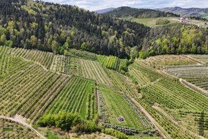 Działka na sprzedaż 4500m2 nowosądecki Łącko Czarny Potok - zdjęcie 1