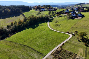 Działka na sprzedaż 1500m2 nowosądecki Chełmiec Trzetrzewina - zdjęcie 3