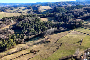 Działka na sprzedaż 7421m2 nowosądecki Nawojowa Frycowa - zdjęcie 1