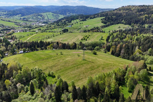 Działka na sprzedaż 10100m2 nowosądecki Krynica-Zdrój - zdjęcie 3