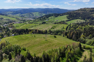 Działka na sprzedaż 10100m2 nowosądecki Krynica-Zdrój - zdjęcie 1