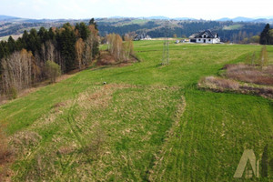 Działka na sprzedaż 6000m2 nowosądecki Chełmiec Paszyn - zdjęcie 3