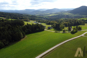 Działka na sprzedaż 5600m2 nowosądecki Grybów Binczarowa - zdjęcie 3