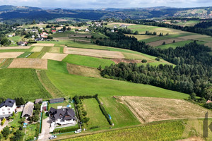 Działka na sprzedaż 1200m2 nowosądecki Chełmiec Januszowa - zdjęcie 1