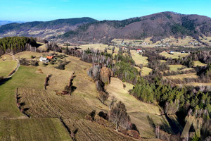 Działka na sprzedaż 7421m2 nowosądecki Nawojowa Frycowa - zdjęcie 3