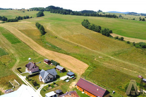 Działka na sprzedaż 4700m2 nowosądecki Krynica-Zdrój Mochnaczka Niżna - zdjęcie 3