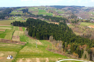 Działka na sprzedaż 6000m2 nowosądecki Chełmiec Paszyn - zdjęcie 1