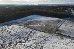 Działka na sprzedaż 32800m2 kwidzyński Kwidzyn - zdjęcie 2