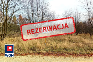 Działka na sprzedaż częstochowski Olsztyn Skrajnica Morelowa - zdjęcie 1