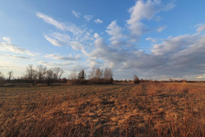 Działka na sprzedaż 950m2 otwocki Wiązowna Duchnów - zdjęcie 3