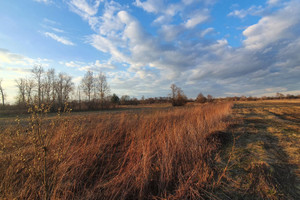 Działka na sprzedaż 950m2 otwocki Wiązowna Duchnów - zdjęcie 2