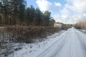 Działka na sprzedaż 6000m2 otwocki Wiązowna Duchnów - zdjęcie 3