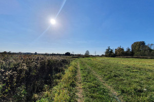 Działka na sprzedaż 1000m2 otwocki Wiązowna Duchnów - zdjęcie 1