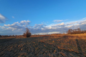 Działka na sprzedaż 2830m2 otwocki Wiązowna Duchnów - zdjęcie 3