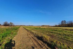 Działka na sprzedaż 12390m2 otwocki Wiązowna Duchnów - zdjęcie 3