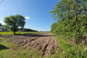 Działka na sprzedaż 30100m2 otwocki Wiązowna Duchnów - zdjęcie 3