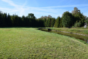 Działka na sprzedaż 18500m2 kościerski Nowa Karczma Grabowska Huta - zdjęcie 3