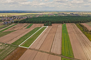 Działka na sprzedaż 11039m2 wołomiński Radzymin Emilianów - zdjęcie 1