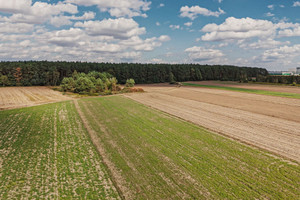 Działka na sprzedaż 11039m2 wołomiński Radzymin Emilianów - zdjęcie 2