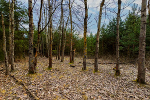 Działka na sprzedaż 6664m2 legionowski Serock Łacha - zdjęcie 2