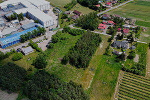 Działka na sprzedaż 6200m2 sochaczewski Nowa Sucha Mizerka - zdjęcie 2