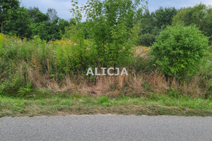 Działka na sprzedaż 8765m2 grodziski Jaktorów - zdjęcie 3