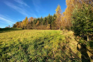 Działka na sprzedaż 5478m2 myślenicki Tokarnia Tokarnia - zdjęcie 3