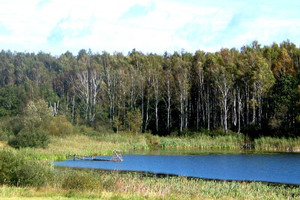 Działka na sprzedaż 8077m2 kamieński Świerzno Chomino - zdjęcie 1