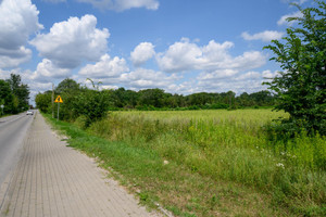 Działka na sprzedaż 23900m2 nowodworski Pomiechówek Stanisławowo - zdjęcie 1