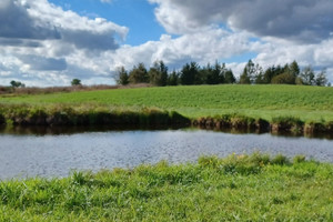 Działka na sprzedaż iławski Zalewo - zdjęcie 3