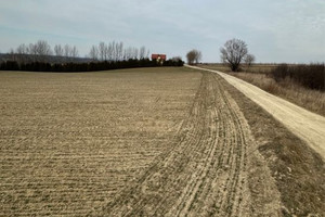 Działka na sprzedaż 3340m2 łańcucki Czarna - zdjęcie 2