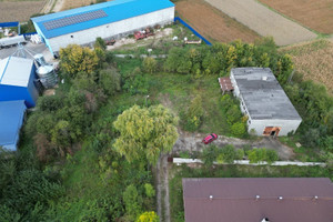 Działka na sprzedaż 1150000m2 tarnowski Żabno Siedliszowice - zdjęcie 2