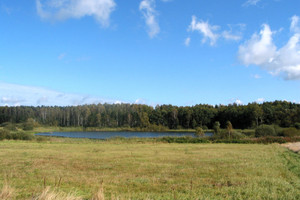 Działka na sprzedaż 8062m2 kamieński Świerzno Chomino - zdjęcie 3