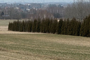 Działka na sprzedaż 3340m2 łańcucki Czarna - zdjęcie 3