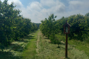 Działka na sprzedaż 15000m2 kamieński Świerzno Gostyń - zdjęcie 1