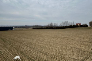 Działka na sprzedaż 3340m2 łańcucki Czarna - zdjęcie 1