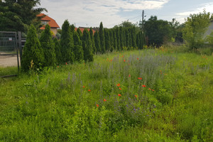 Działka na sprzedaż 2449m2 Łódź Górna - zdjęcie 1