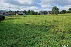 Działka na sprzedaż 6412m2 wielicki Biskupice Przebieczany - zdjęcie 2