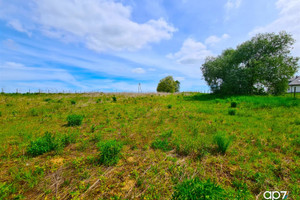 Działka na sprzedaż 2100m2 proszowicki Proszowice Kościelec - zdjęcie 3