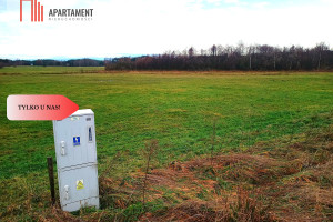 Działka na sprzedaż 3000m2 chojnicki Czersk Struga - zdjęcie 2