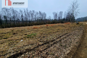 Działka na sprzedaż 2050m2 kartuski Przodkowo Warzenko - zdjęcie 2