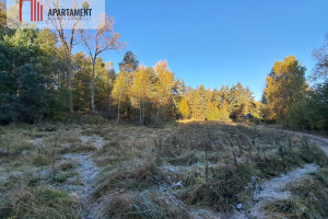 Działka na sprzedaż 3000m2 starogardzki Kaliska Iwiczno - zdjęcie 3