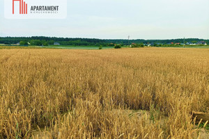 Działka na sprzedaż 862m2 bydgoski Sicienko Osówiec - zdjęcie 3