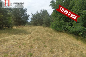 Działka na sprzedaż 42410m2 bydgoski Koronowo - zdjęcie 2