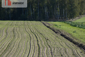 Działka na sprzedaż 900m2 żniński Żnin - zdjęcie 2